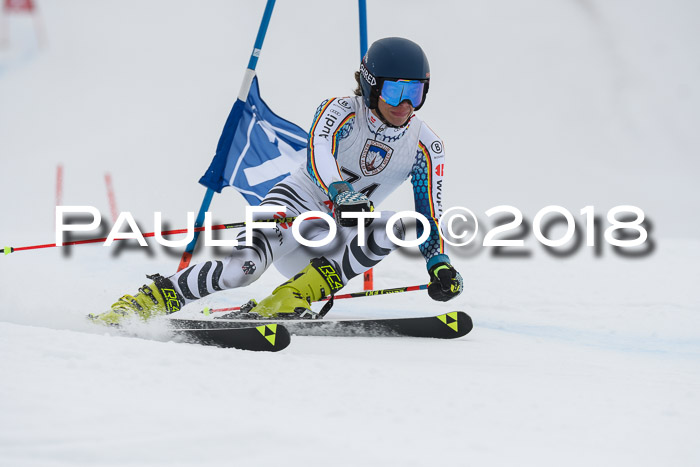 Int. FIS Rennen Herren, RS, Maria Alm 11.01.2018