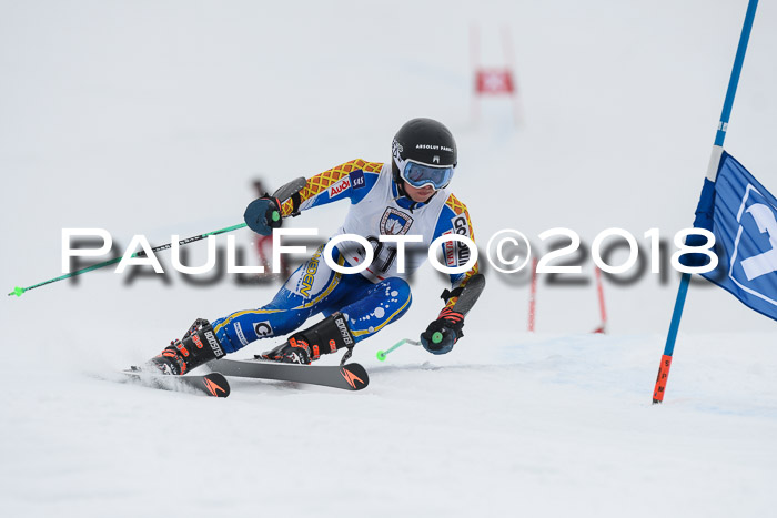 Int. FIS Rennen Herren, RS, Maria Alm 11.01.2018