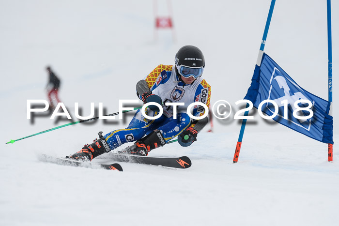 Int. FIS Rennen Herren, RS, Maria Alm 11.01.2018