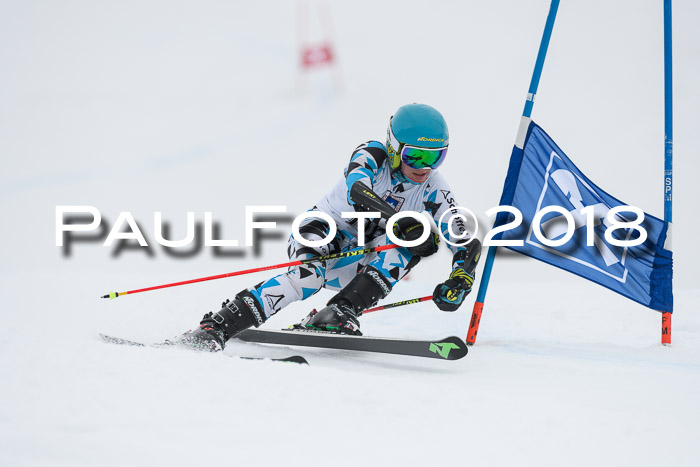 Int. FIS Rennen Herren, RS, Maria Alm 11.01.2018