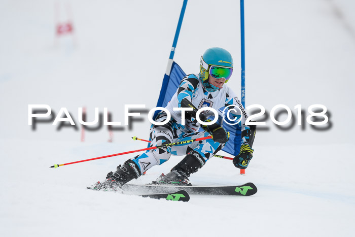 Int. FIS Rennen Herren, RS, Maria Alm 11.01.2018