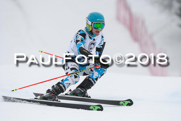 Int. FIS Rennen Herren, RS, Maria Alm 11.01.2018