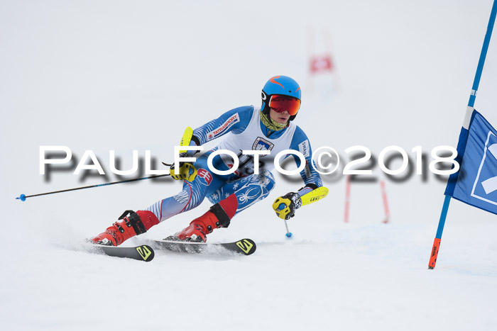 Int. FIS Rennen Herren, RS, Maria Alm 11.01.2018