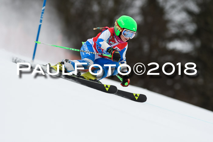 3. BZB CUP RS 2018