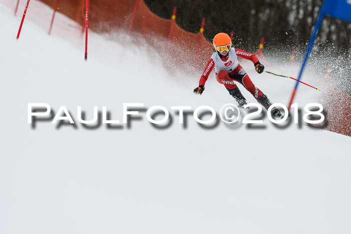3. BZB CUP RS 2018