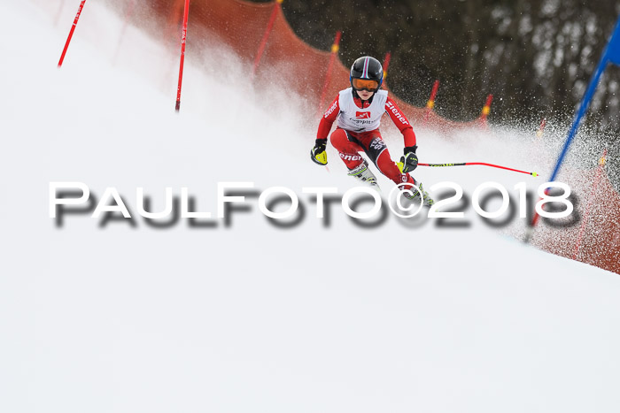 3. BZB CUP RS 2018