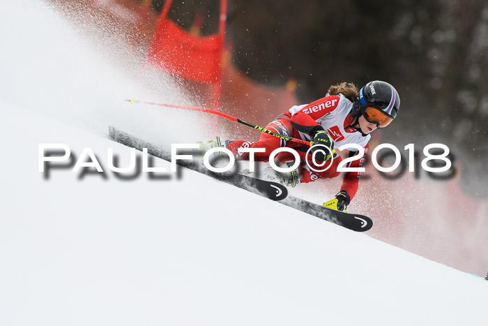 3. BZB CUP RS 2018