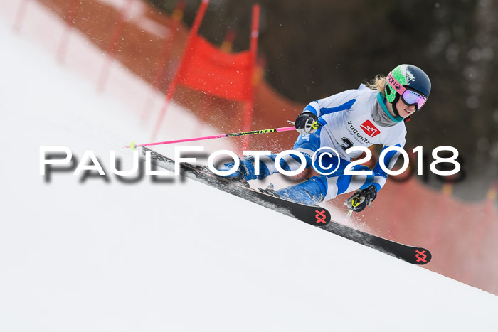 3. BZB CUP RS 2018