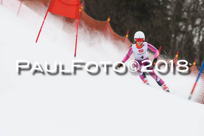 3. BZB CUP RS 2018