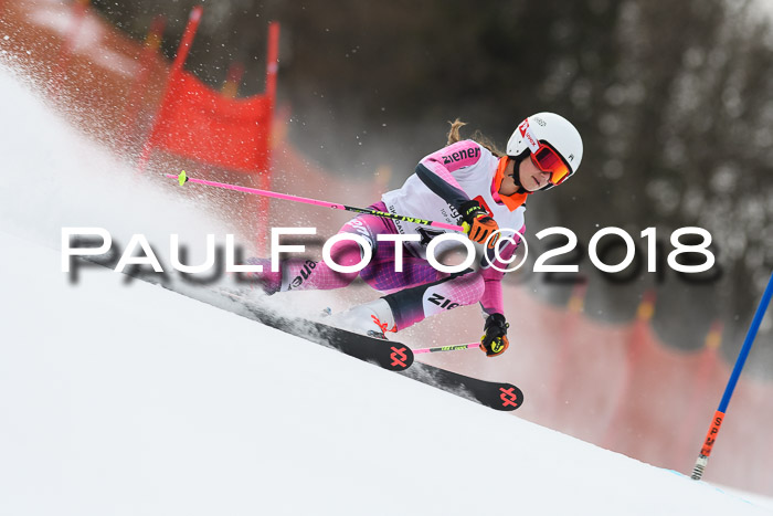 3. BZB CUP RS 2018