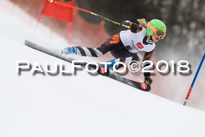 3. BZB CUP RS 2018