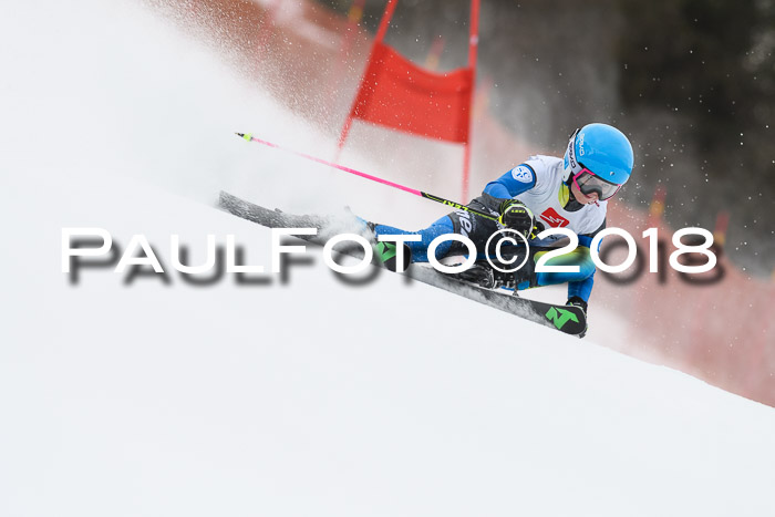 3. BZB CUP RS 2018