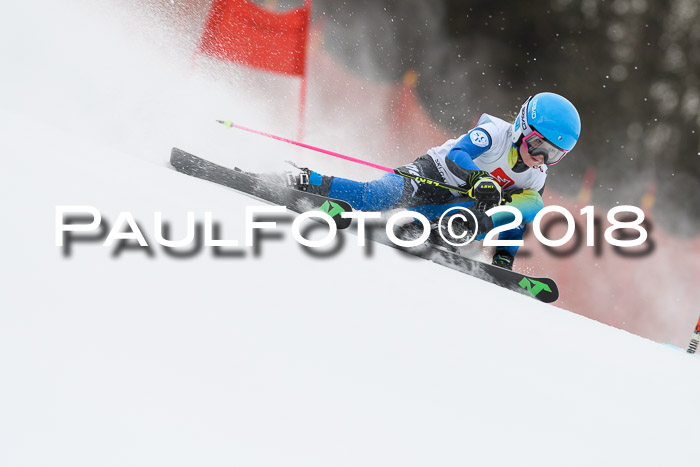 3. BZB CUP RS 2018