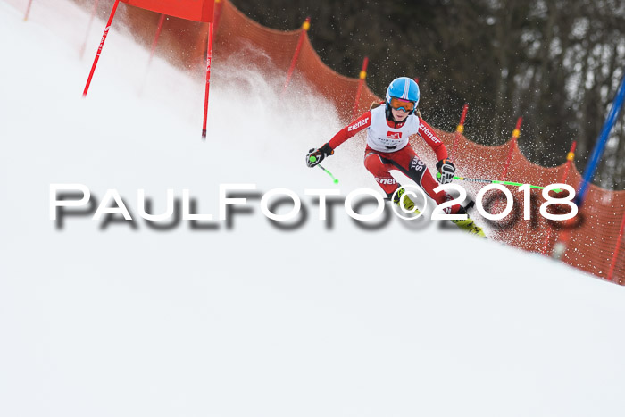 3. BZB CUP RS 2018