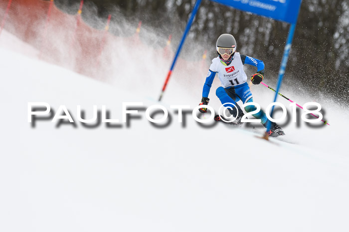 3. BZB CUP RS 2018