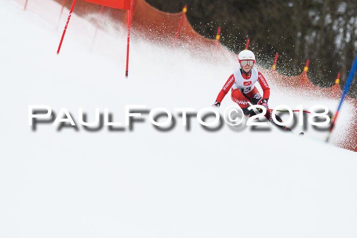 3. BZB CUP RS 2018