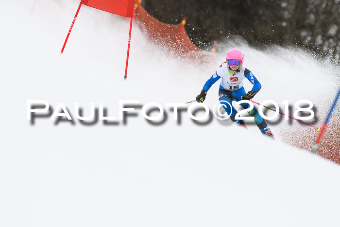3. BZB CUP RS 2018