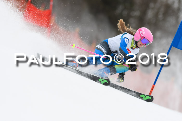 3. BZB CUP RS 2018