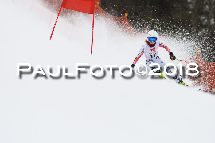 3. BZB CUP RS 2018