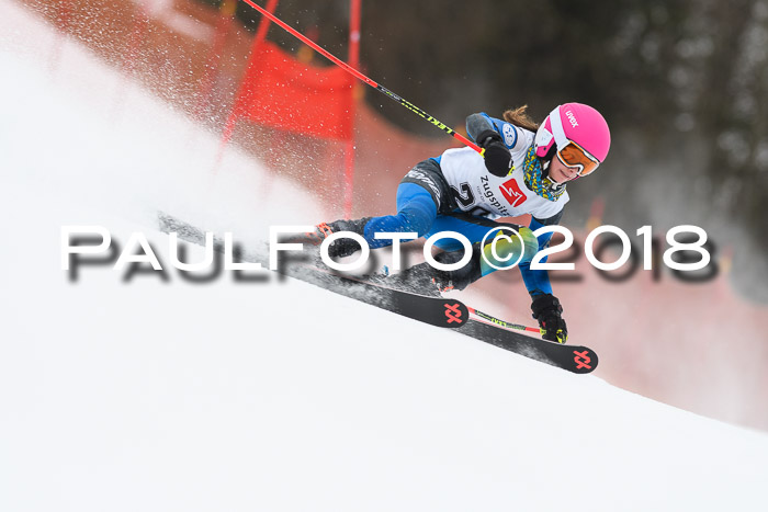3. BZB CUP RS 2018