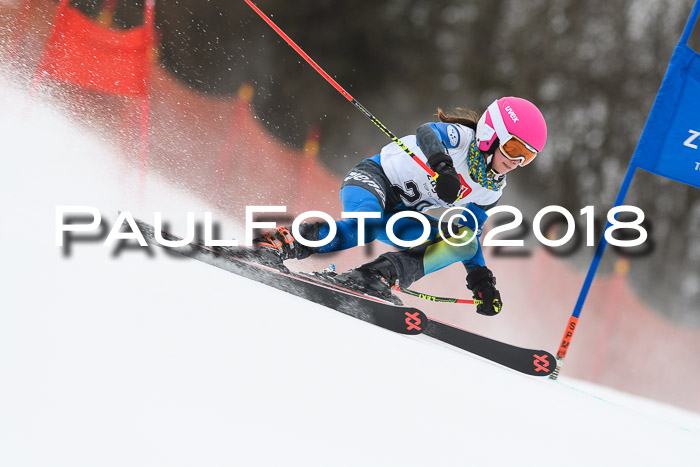 3. BZB CUP RS 2018