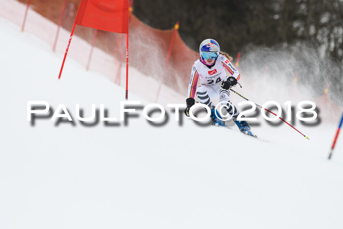 3. BZB CUP RS 2018