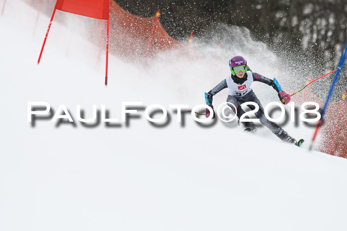 3. BZB CUP RS 2018