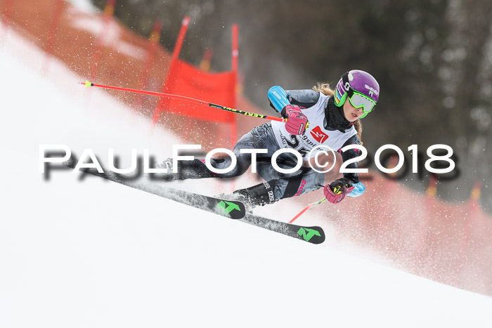 3. BZB CUP RS 2018