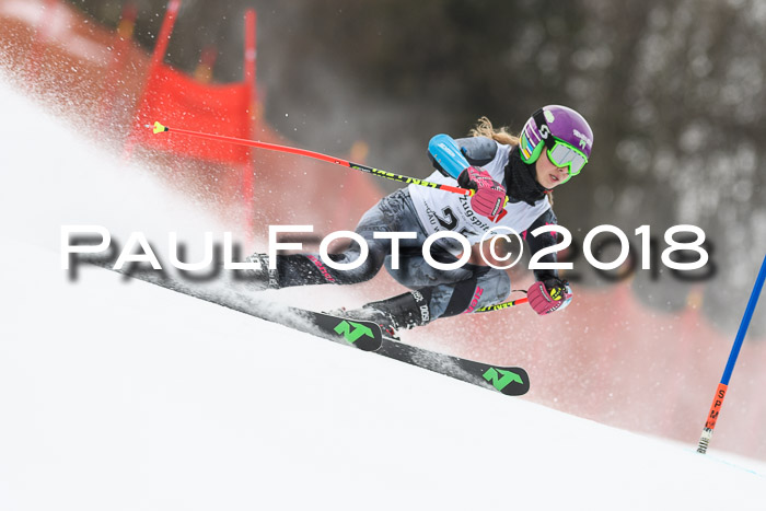 3. BZB CUP RS 2018