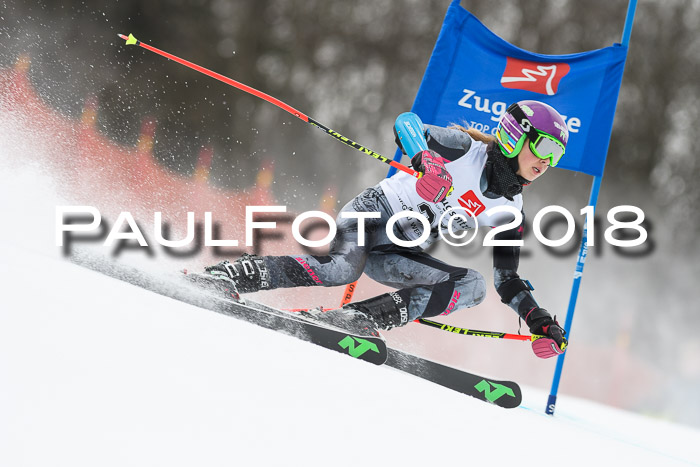 3. BZB CUP RS 2018