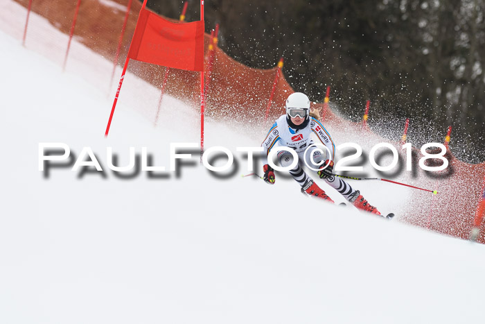 3. BZB CUP RS 2018