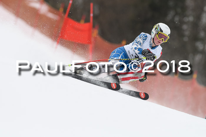 3. BZB CUP RS 2018