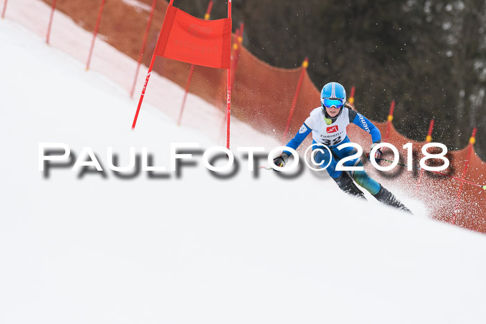 3. BZB CUP RS 2018