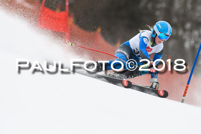 3. BZB CUP RS 2018