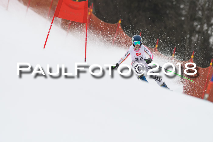 3. BZB CUP RS 2018