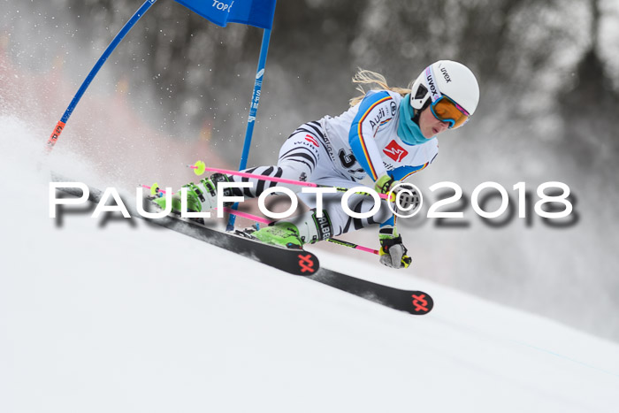 3. BZB CUP RS 2018