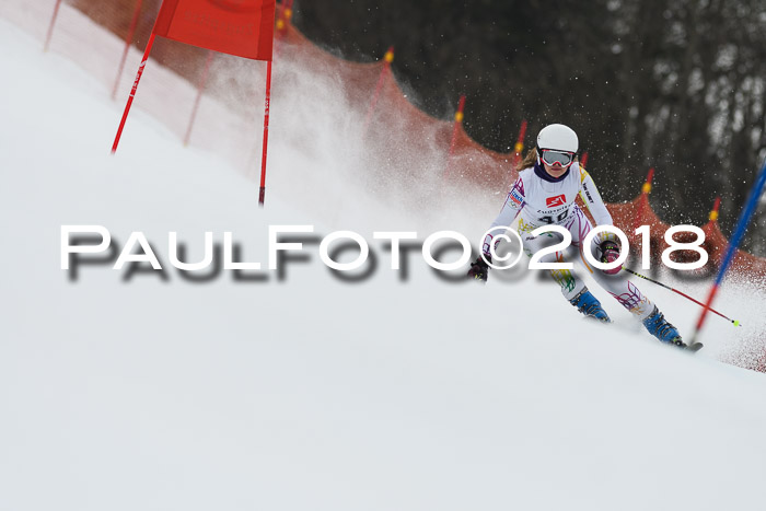 3. BZB CUP RS 2018