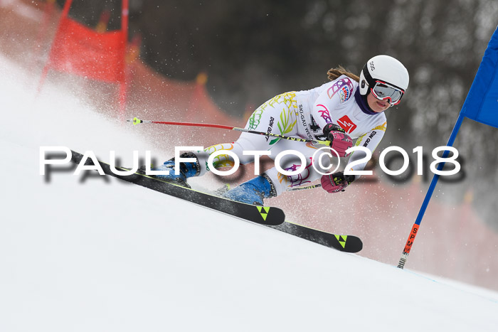 3. BZB CUP RS 2018