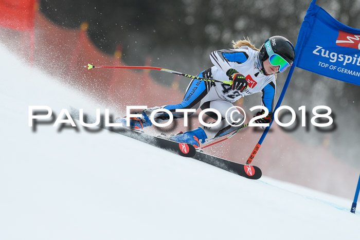3. BZB CUP RS 2018