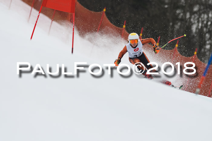 3. BZB CUP RS 2018
