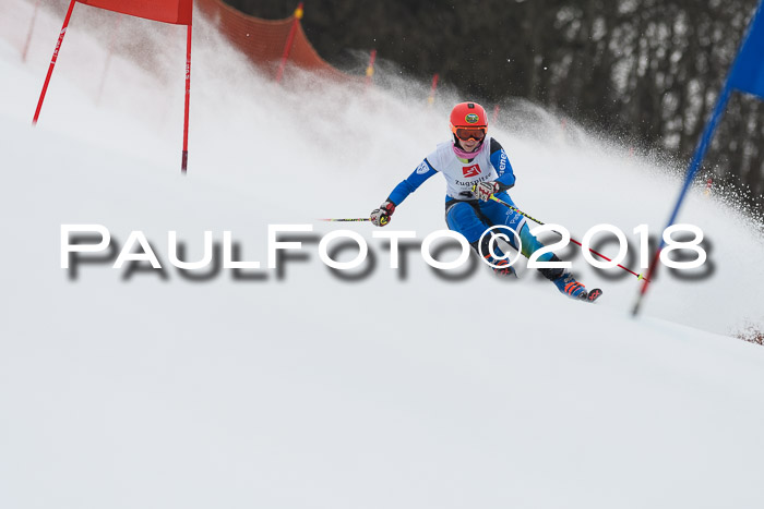 3. BZB CUP RS 2018