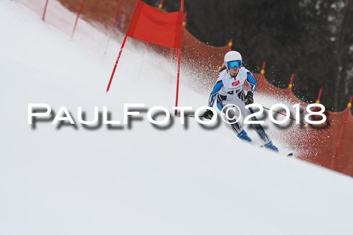 3. BZB CUP RS 2018