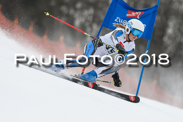 3. BZB CUP RS 2018