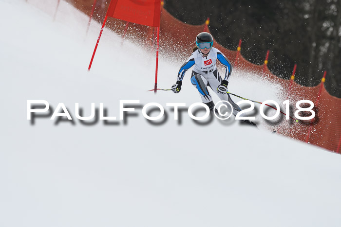 3. BZB CUP RS 2018