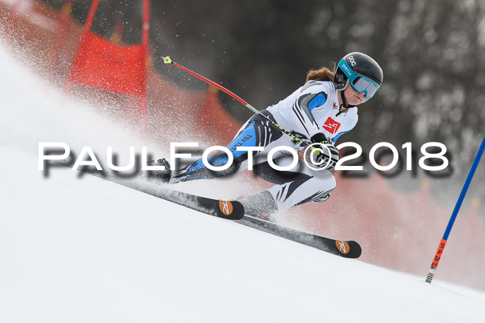 3. BZB CUP RS 2018