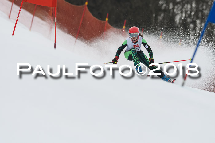 3. BZB CUP RS 2018