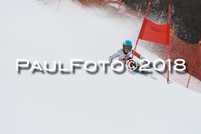 3. BZB CUP RS 2018