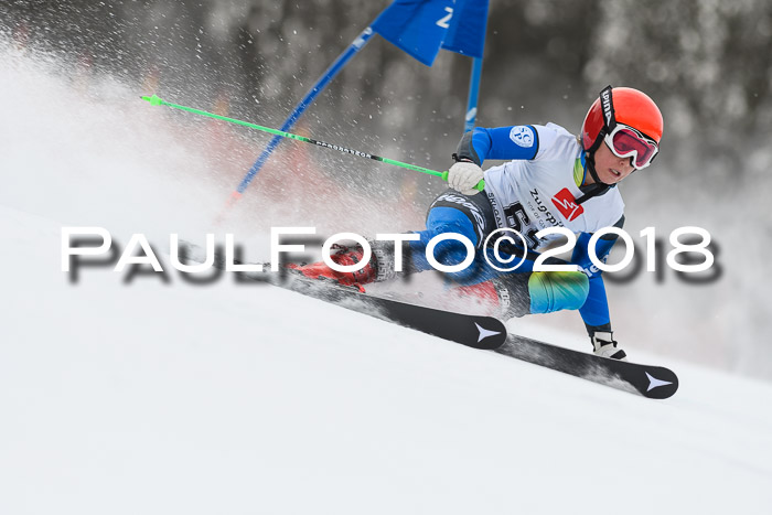 3. BZB CUP RS 2018