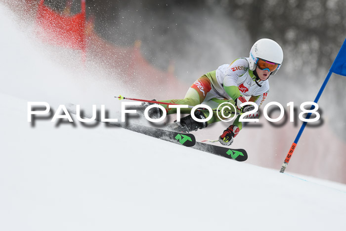 3. BZB CUP RS 2018