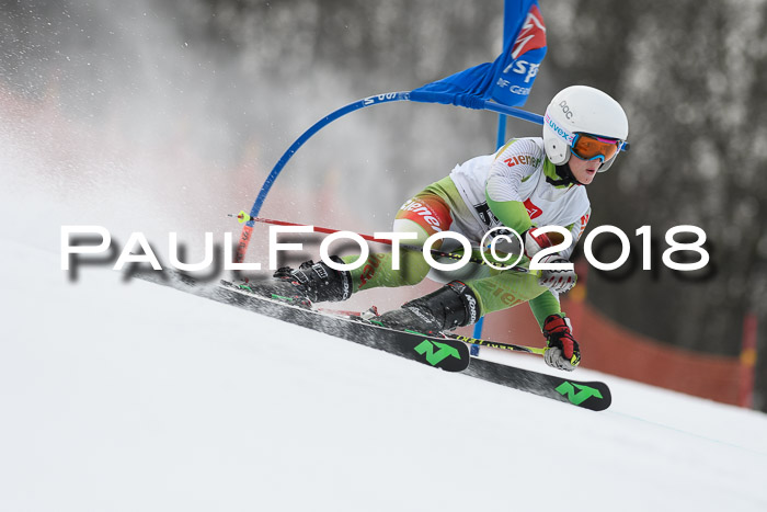 3. BZB CUP RS 2018